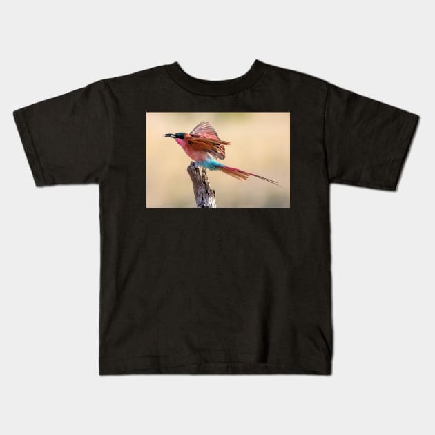 Carmine Bee-eater, Botswana Kids T-Shirt by scotch